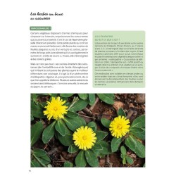 Mauvaises herbes, même pas peur ! Mauvaises herbes, même pas peur !