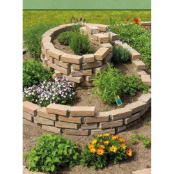 On sème fort ! Guide pratique du potager et du jardin de demain On sème fort ! Guide pratique du potager et du jardin de demain