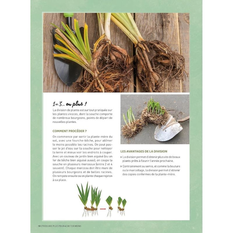 Jardiner pour pas un radis - Techniques et astuces à moindre coût Jardiner pour pas un radis - Techniques et astuces à moindre coût