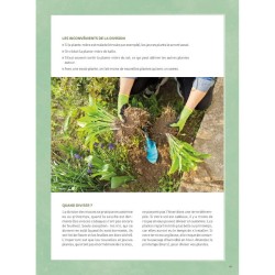 Jardiner pour pas un radis - Techniques et astuces à moindre coût Jardiner pour pas un radis - Techniques et astuces à moindre coût