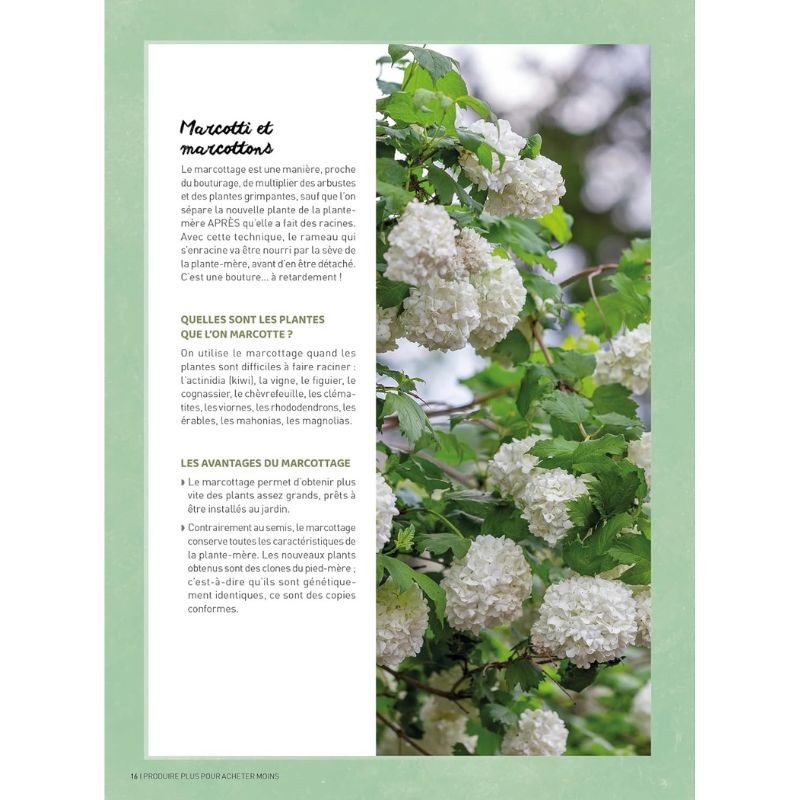 Jardiner pour pas un radis - Techniques et astuces à moindre coût Jardiner pour pas un radis - Techniques et astuces à moindre coût