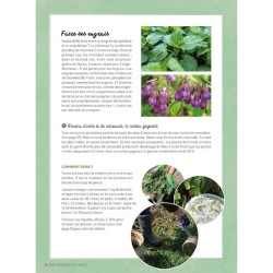 Jardiner pour pas un radis - Techniques et astuces à moindre coût Jardiner pour pas un radis - Techniques et astuces à moindre coût