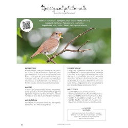 Comme un oiseau - Guide d'identification et conseils pour les accueillir Comme un oiseau - Guide d'identification et conseils pour les accueillir