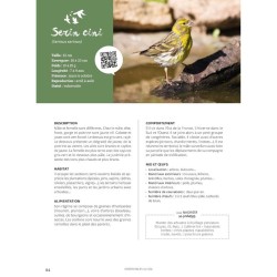 Comme un oiseau - Guide d'identification et conseils pour les accueillir Comme un oiseau - Guide d'identification et conseils pour les accueillir