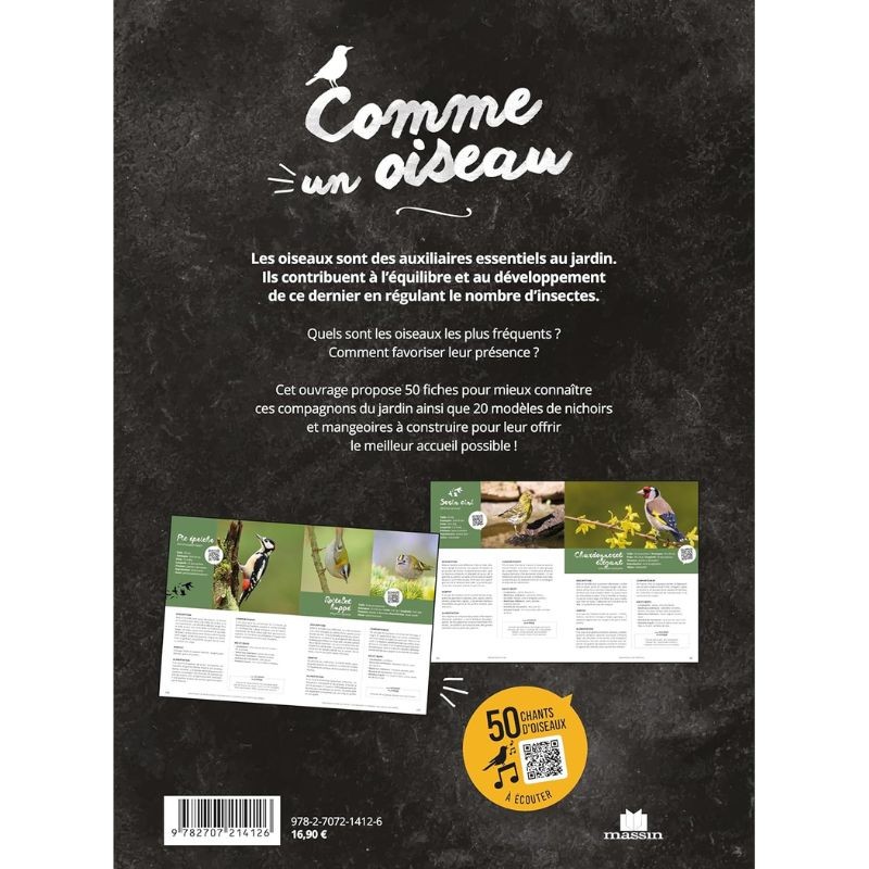 Comme un oiseau - Guide d'identification et conseils pour les accueillir Comme un oiseau - Guide d'identification et conseils pour les accueillir
