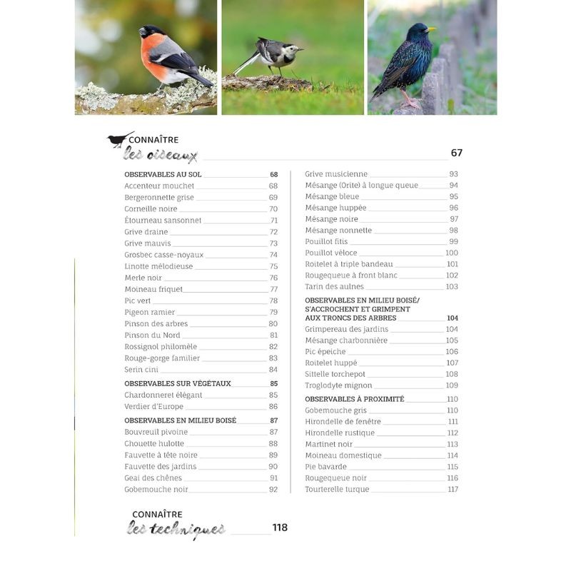 Comme un oiseau - Guide d'identification et conseils pour les accueillir Comme un oiseau - Guide d'identification et conseils pour les accueillir