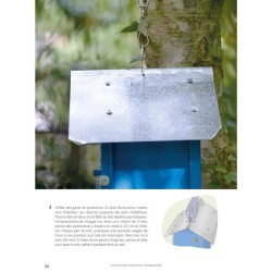 Comme un oiseau - Guide d'identification et conseils pour les accueillir Comme un oiseau - Guide d'identification et conseils pour les accueillir