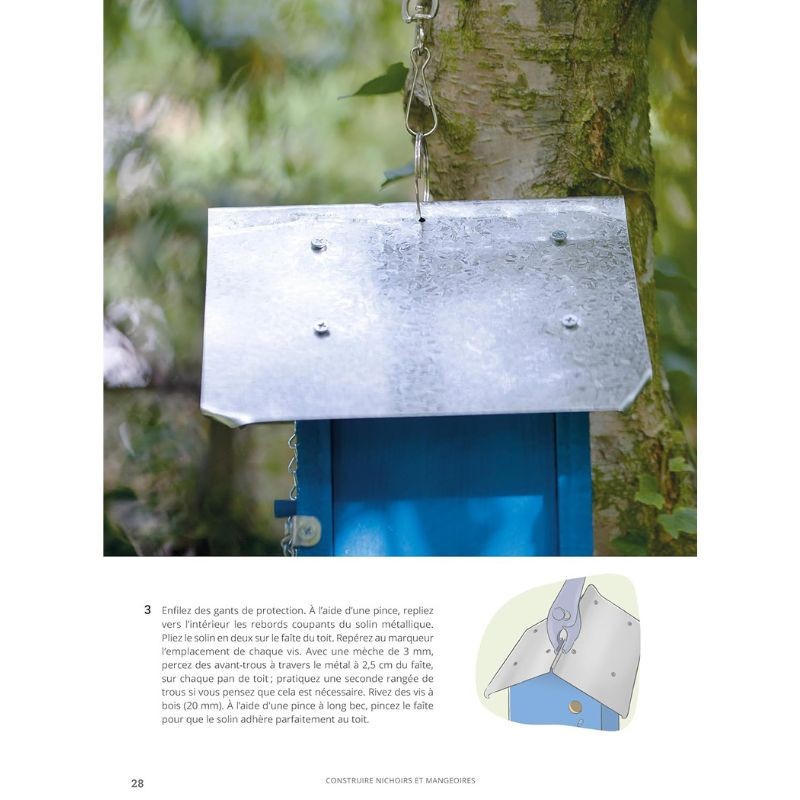 Comme un oiseau - Guide d'identification et conseils pour les accueillir Comme un oiseau - Guide d'identification et conseils pour les accueillir