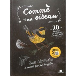 Comme un oiseau - Guide d'identification et conseils pour les accueillir Comme un oiseau - Guide d'identification et conseils pour les accueillir