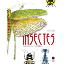 Insectes - Le grand livre du minuscule