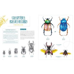 Insectes - Le grand livre du minuscule Insectes - Le grand livre du minuscule