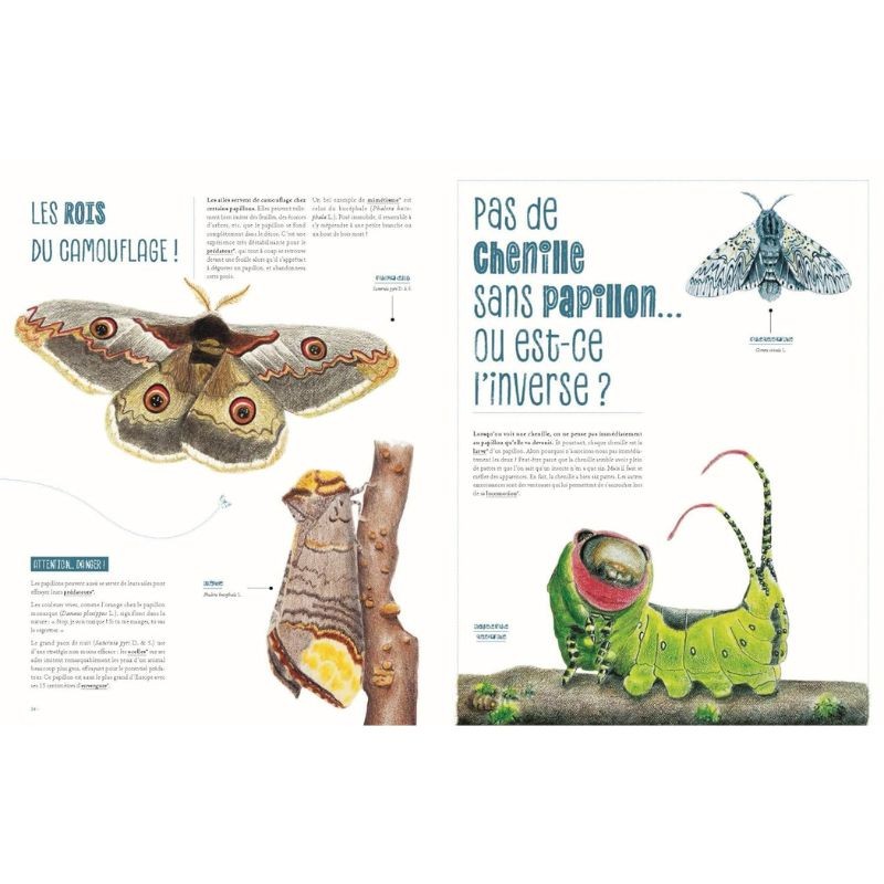 Insectes - Le grand livre du minuscule Insectes - Le grand livre du minuscule