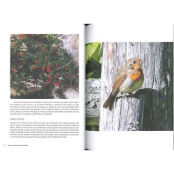 Inviter les oiseaux dans votre jardin