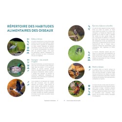 Inviter les oiseaux dans votre jardin