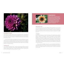 Inviter les oiseaux dans votre jardin