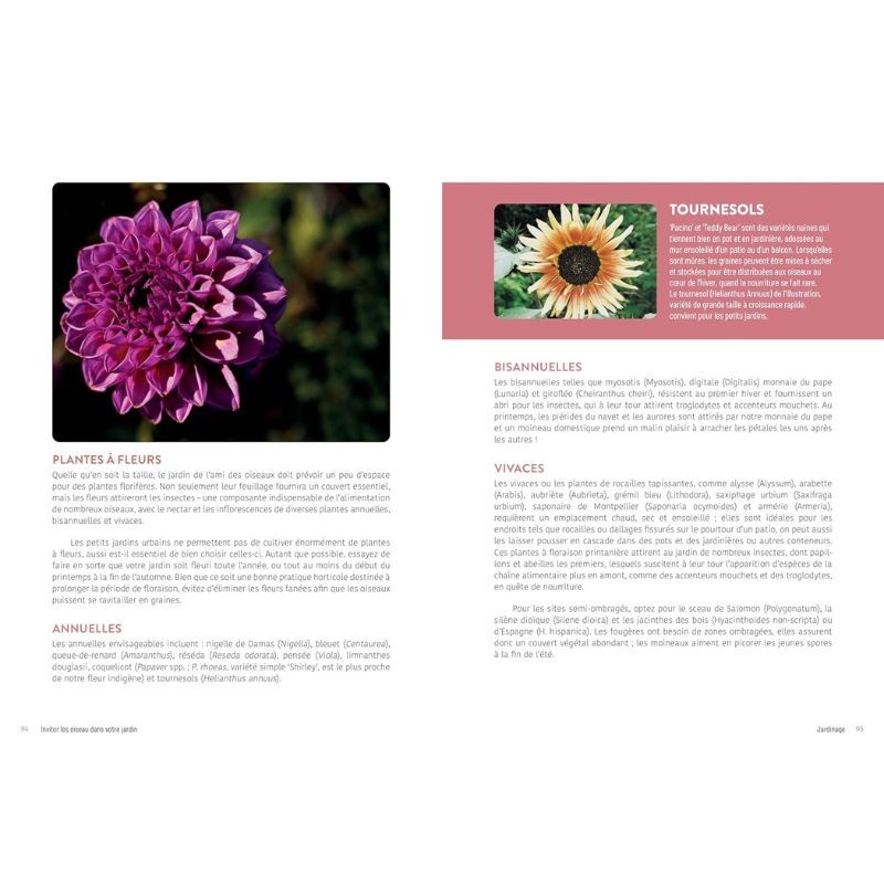 Inviter les oiseaux dans votre jardin