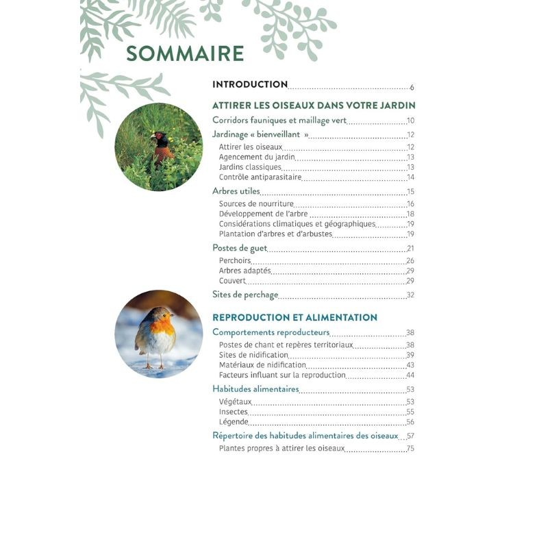 Inviter les oiseaux dans votre jardin