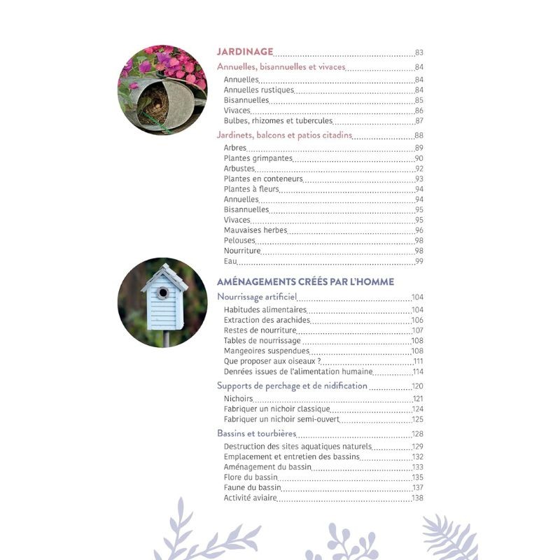 Inviter les oiseaux dans votre jardin