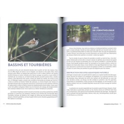 Inviter les oiseaux dans votre jardin