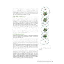 Le maraîchage écologique sans labour - Mieux produire grâce à un sol vivant