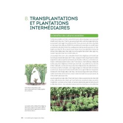 Le maraîchage écologique sans labour - Mieux produire grâce à un sol vivant