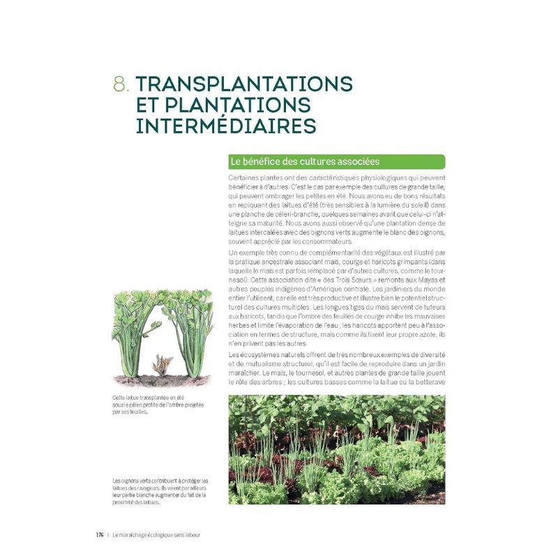 Le maraîchage écologique sans labour - Mieux produire grâce à un sol vivant