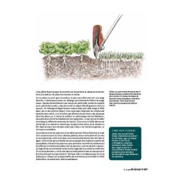 Le maraîchage écologique sans labour - Mieux produire grâce à un sol vivant