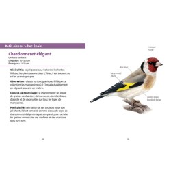 Oiseaux des villes - Les petits livres de la nature Oiseaux des villes - Les petits livres de la nature
