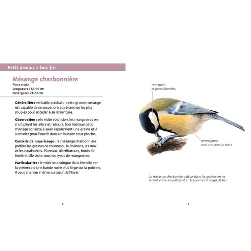 Oiseaux des villes - Les petits livres de la nature Oiseaux des villes - Les petits livres de la nature