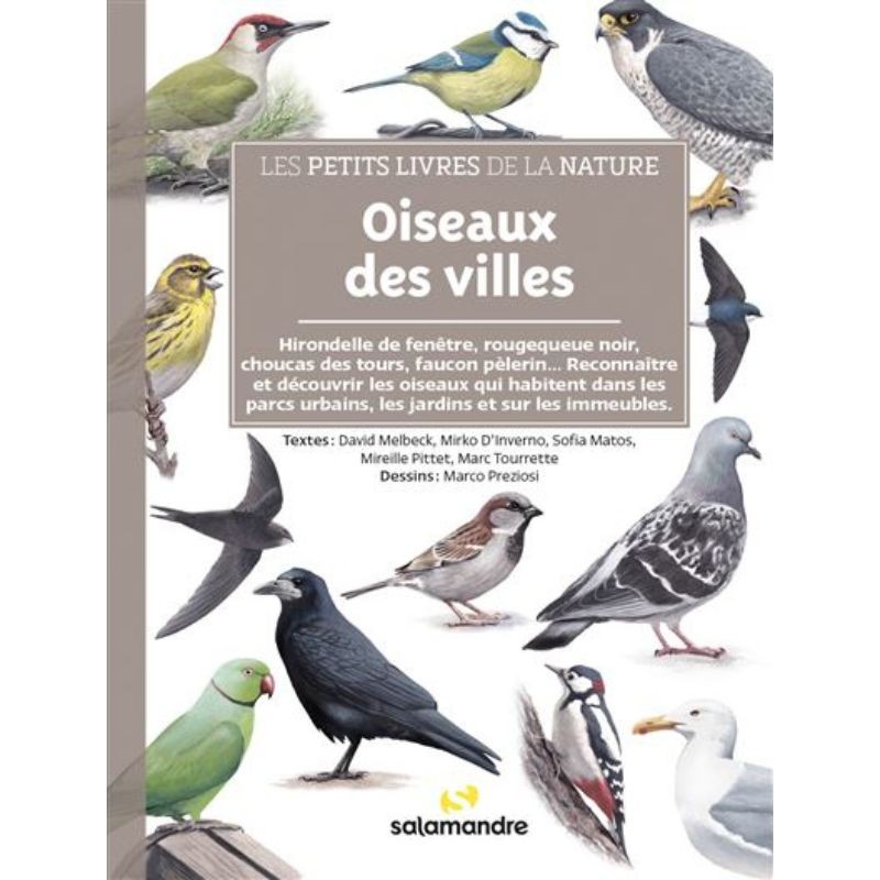 Oiseaux des villes - Les petits livres de la nature