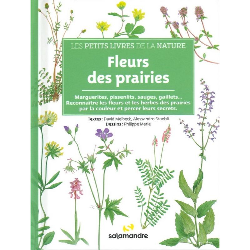 Fleurs des prairies - Les petits livres de la nature