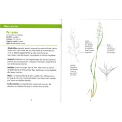 Fleurs des prairies - Les petits livres de la nature