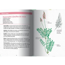 Fleurs des prairies - Les petits livres de la nature