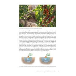 Un potager presque sans eau - Conseils anti-sécheresse pour cultiver avec sobriété Un potager presque sans eau - Conseils anti-sécheresse pour cultiver avec sobriété