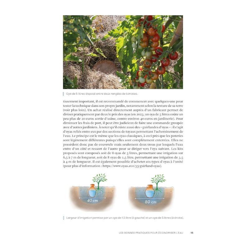 Un potager presque sans eau - Conseils anti-sécheresse pour cultiver avec sobriété Un potager presque sans eau - Conseils anti-sécheresse pour cultiver avec sobriété