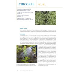 Un potager presque sans eau - Conseils anti-sécheresse pour cultiver avec sobriété Un potager presque sans eau - Conseils anti-sécheresse pour cultiver avec sobriété