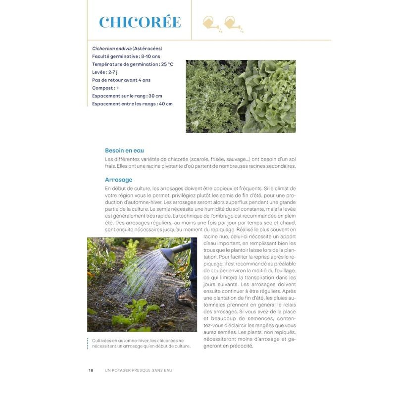 Un potager presque sans eau - Conseils anti-sécheresse pour cultiver avec sobriété Un potager presque sans eau - Conseils anti-sécheresse pour cultiver avec sobriété