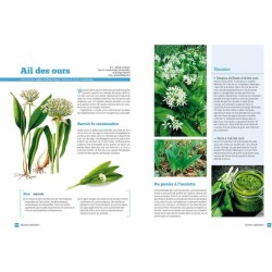 Plantes sauvages comestibles & bienfaisantes