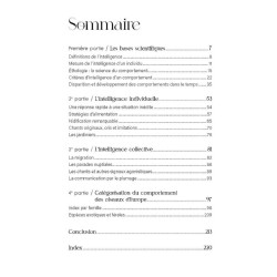 L'intelligence des oiseaux - Entre stratégies collectives & génie individuel L'intelligence des oiseaux - Entre stratégies collectives & génie individuel