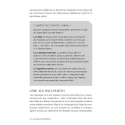 L'intelligence des oiseaux - Entre stratégies collectives & génie individuel L'intelligence des oiseaux - Entre stratégies collectives & génie individuel