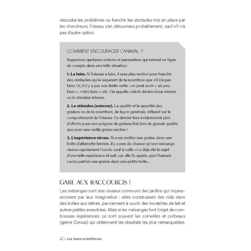 L'intelligence des oiseaux - Entre stratégies collectives & génie individuel L'intelligence des oiseaux - Entre stratégies collectives & génie individuel