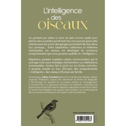 L'intelligence des oiseaux - Entre stratégies collectives & génie individuel L'intelligence des oiseaux - Entre stratégies collectives & génie individuel