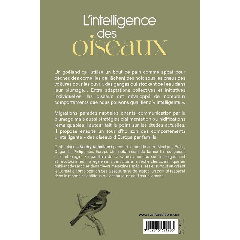 L'intelligence des oiseaux - Entre stratégies collectives & génie individuel L'intelligence des oiseaux - Entre stratégies collectives & génie individuel