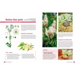 Plantes sauvages comestibles & bienfaisantes