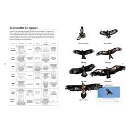 L'appel de la nature - Le manuel de la micro aventure L'appel de la nature - Le manuel de la micro aventure