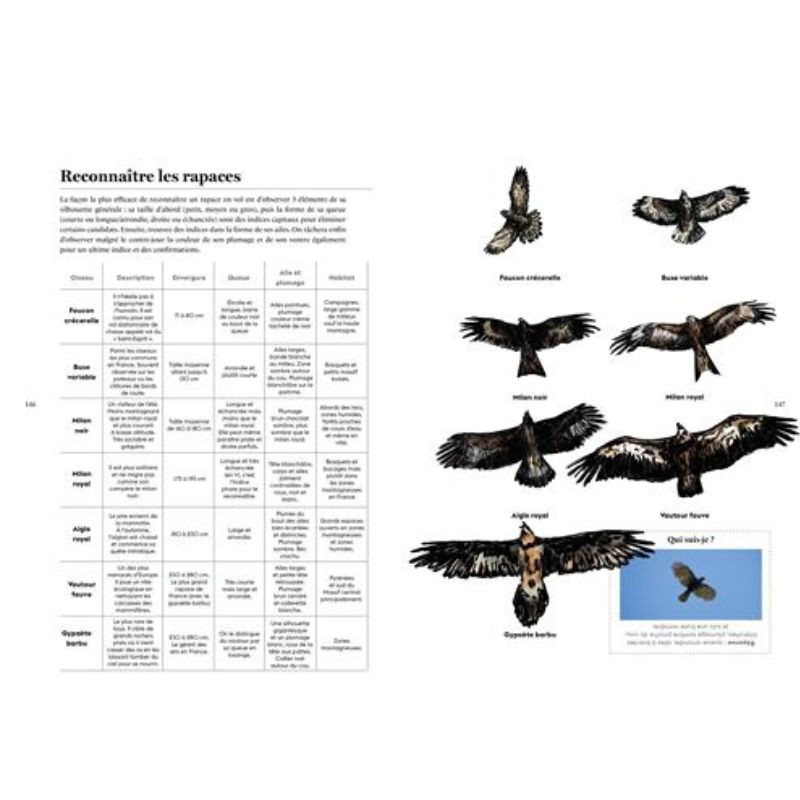 L'appel de la nature - Le manuel de la micro aventure L'appel de la nature - Le manuel de la micro aventure