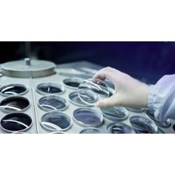 Kite Lynx HD+ 10x42 - Jumelles Kite Lynx HD+ 10x42 - Jumelles