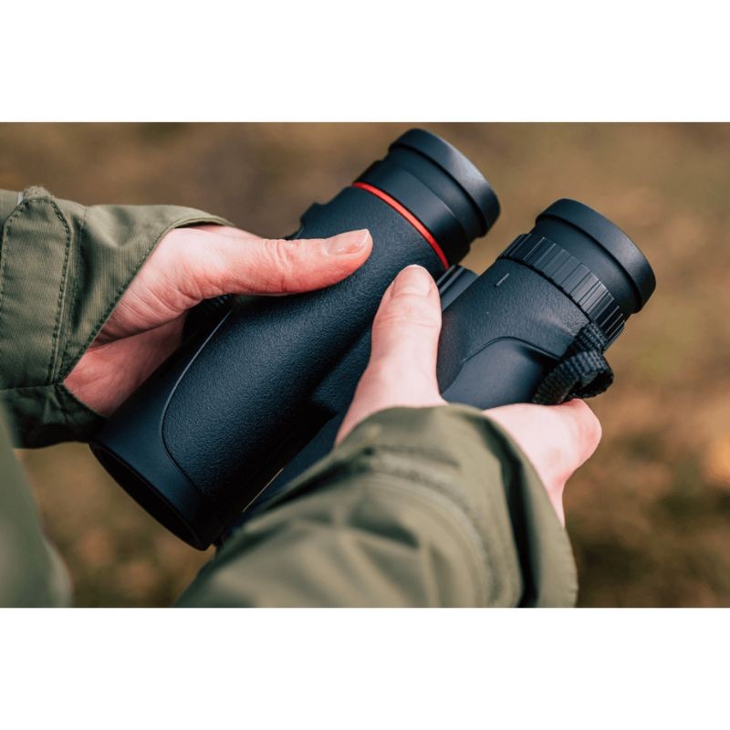 Kite Falco 8x42 - Jumelles