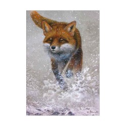 Renard roux - Instinct - Carte d'André Buzin