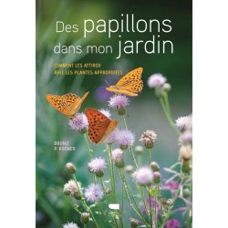 Des papillons dans mon jardin - Comment les attirer avec les plantes appropriées Des papillons dans mon jardin - Comment les attirer avec les plantes appropriées